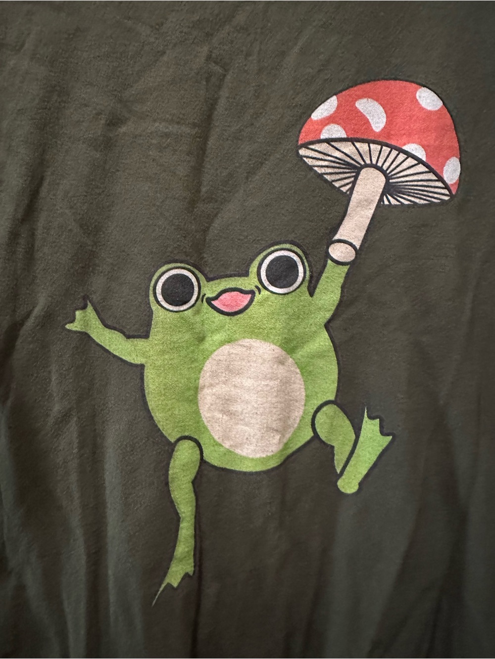 Green Frog Holding Red Mushroom Graphic Tee